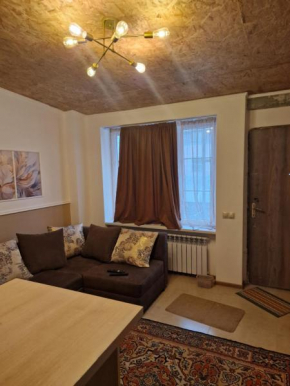 Cozy Studio in Yerevan